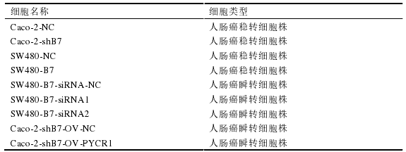 实验所使用的细胞株