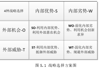 图 5.1 战略选择方案图