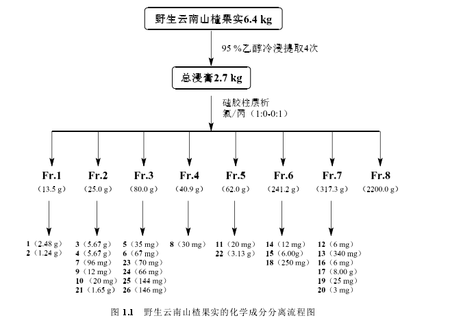 野生云南山楂果实的化学成分与降脂活性探讨