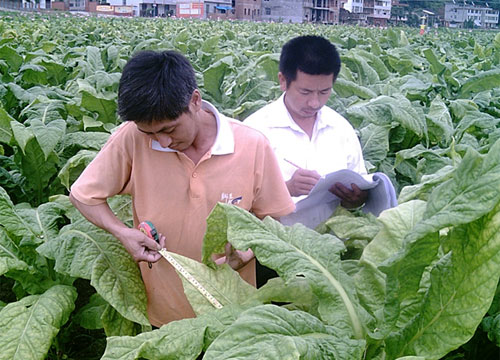 优秀论文摘要范文