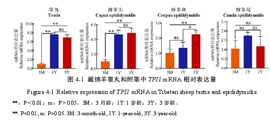 农学论文怎么写