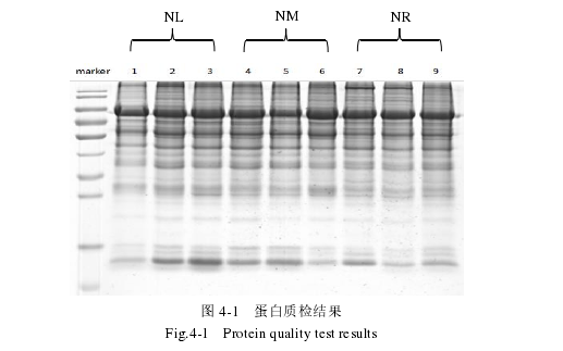 农学论文怎么写