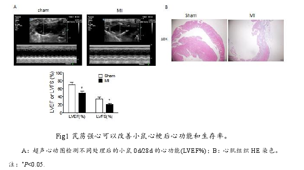 药学研究生论文参考