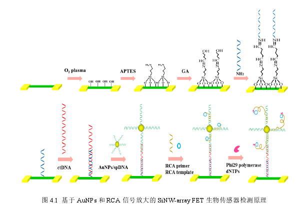 生物医学论文参考