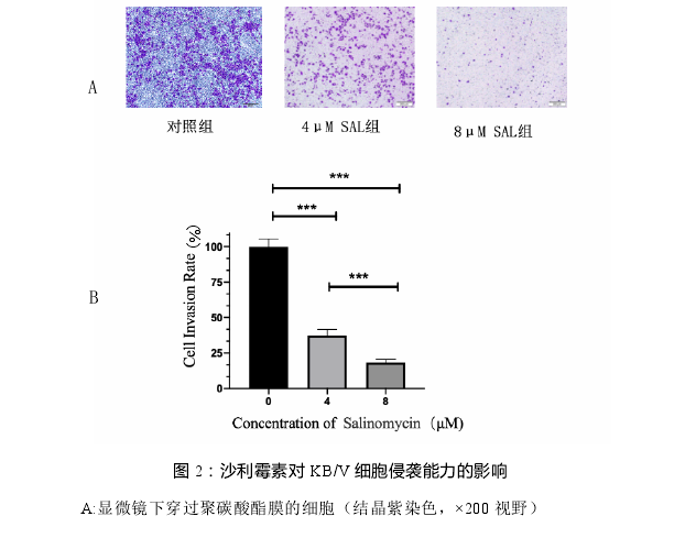 口腔医学论文怎么写