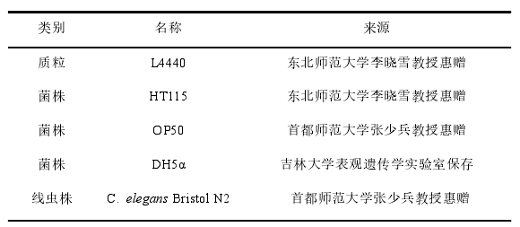 降低BCCIP基因表达对秀丽隐杆线虫应激抗性的影响