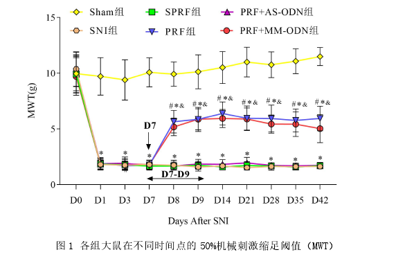 脊髓背角 GRK2 在脉冲射频背根神经节改善SNI大鼠神经病理性疼痛抑郁共病中的作用