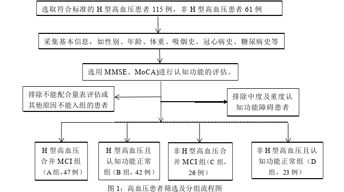 H型高血压患者血尿酸水平与轻度认知功能障碍的相关性分析