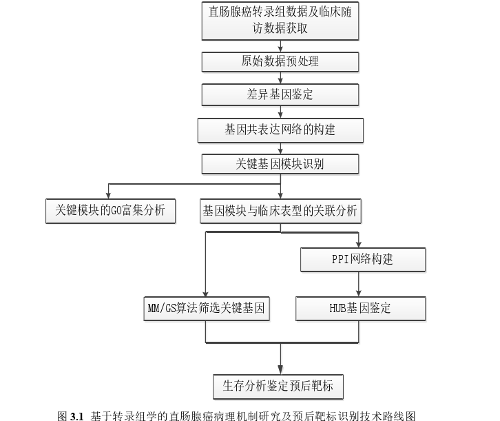 基于多组学的直肠腺癌病理机制研究及预后靶标识别