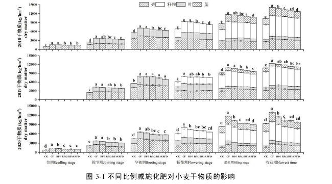 有机替代对绿洲春小麦减肥增效的思考