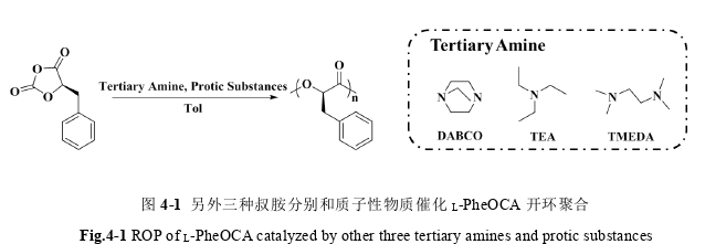 叔胺催化O-内酸酐酯 (OCA) 单体开环聚合的探讨