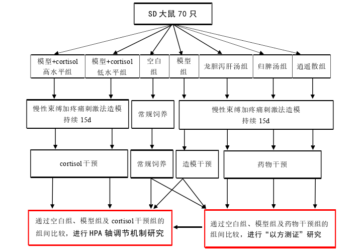 肝郁化火证失眠大鼠的睡眠结构特点及其HPA轴调节机制探讨