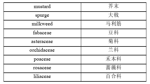 英语论文怎么写