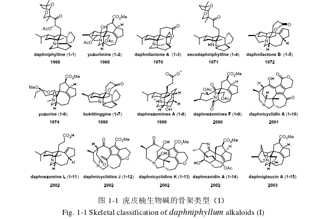 虎皮楠生物碱Calyciphylline N 的合成探索及活性评价