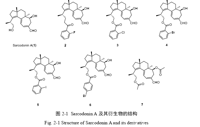 天然产物Sarcodonin A和Trienomycin A 的抗神经炎机制探索