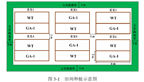 农学论文参考