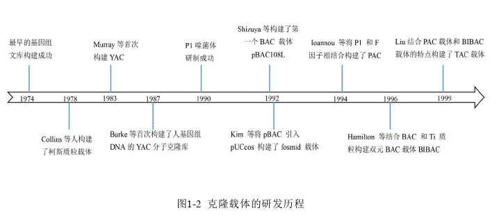 秦岭放线菌H2S5基因组文库构建与安莎霉素生物合成基因簇的异源表达