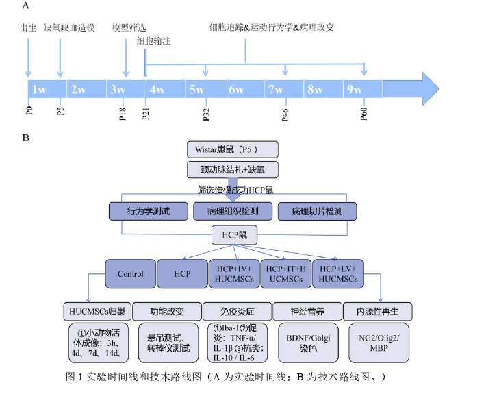 医学论文参考