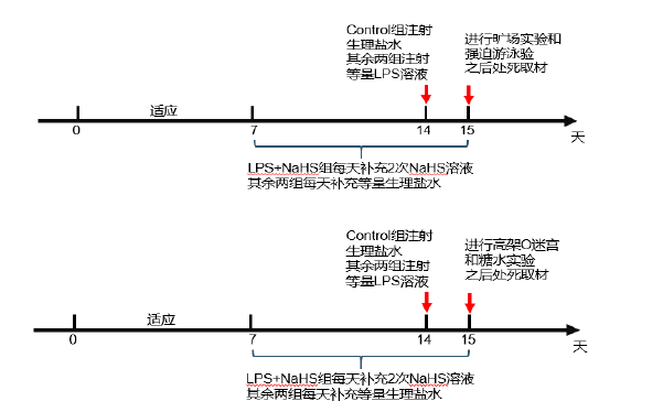 医学论文怎么写