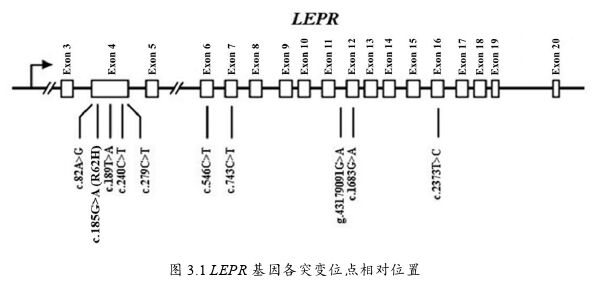 农学论文参考