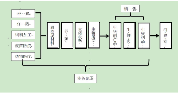 财务报表分析论文参考