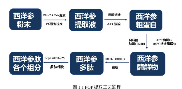 西洋参多肽的分离鉴定及对小鼠创伤性皮肤损伤的改善作用探讨