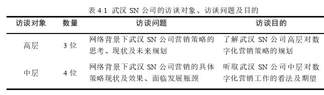 网络环境下武汉SN公司的营销策略优化探讨