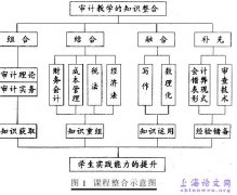 21世纪新审计实践教学方案