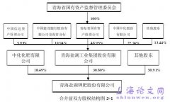 同一控制之企业合并财务效应研究