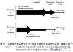 联合应用甲萘醌、维生素C和盐霉素治疗胶质瘤体外分析