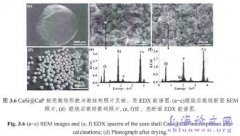 降解阶段可调核-壳微球生物陶瓷制作与性能研究