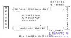 星美联合股份单位财务内部管控诊断报告