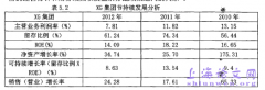 XG集团财务分析案例研究