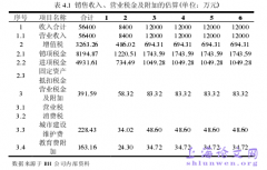 BH公司WN设备项目的投资分析