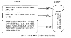 中石油基于XBRL的会计信息披露研究