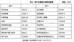 整合审计在实践中的应用--以青岛啤酒为例