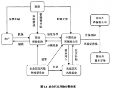 中国政策性农业保险巨灾风险分散模式的构建