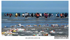 毕业论文：环青海湖地区生态环境保护机制研究