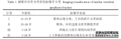 研究生论文：儿童及青少年胸腰椎脊柱创伤的研究进展