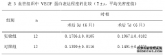 四妙勇安汤对大鼠尾动脉血管吻合术后吻合口再狭窄及VEGF蛋白表达的中医影响