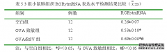 RORγt及SOCS1/3在哮喘小鼠肺组织中的医学表达及意义