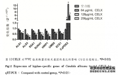 药学龙胆泻肝汤氯仿提取物对白念珠菌VVC临床株侵袭力的干预作用及机制研究