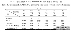 大鼠面神经再生过程中面肌NCAM及BDNF表达水平的医学变化