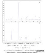 不同部位及不同产地葛中7种异黄酮类成分含量比较药学研究