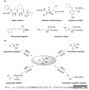 有机分子催化的碳-氢键氧化不对称构建碳-磷键反应研究