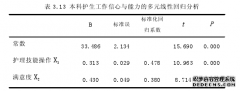 Casey-Fink本科护生实习体验调查表的汉化与护理应用