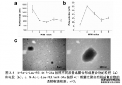 miR-34a介导机械应力作用下成骨分化的体内外实验医学研究