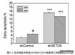 不同生存期喉癌患者的18F-FDG PET/CT SUVmax 值的变化与SET8 蛋白医学表达的相