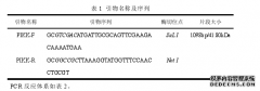 阴道毛滴虫端粒DNA鉴定及其医学调节蛋白研究