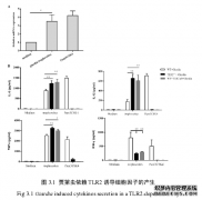 TLRs介导的天然免疫应答在中医贾第虫致病中的作用及机制